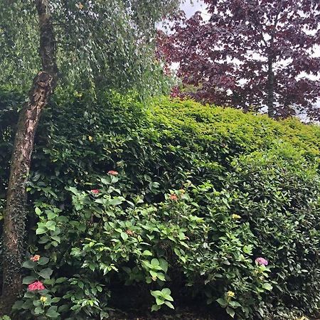 Rhubarb Cottage Enniskillen Ngoại thất bức ảnh