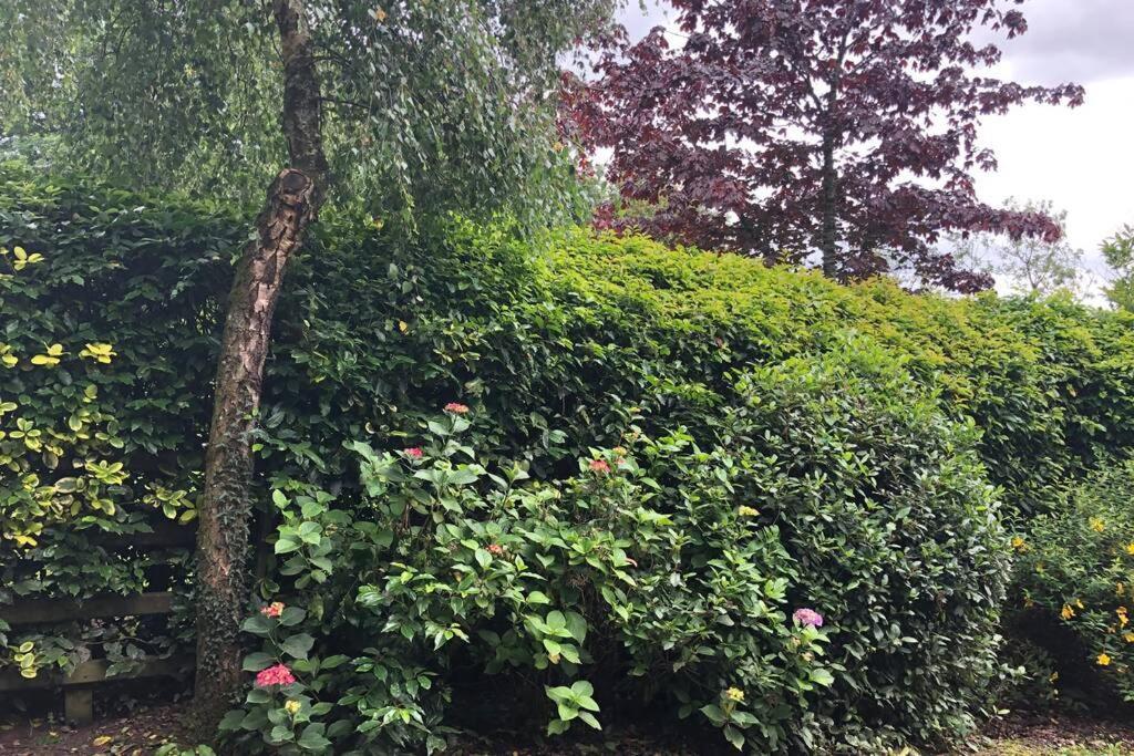 Rhubarb Cottage Enniskillen Ngoại thất bức ảnh