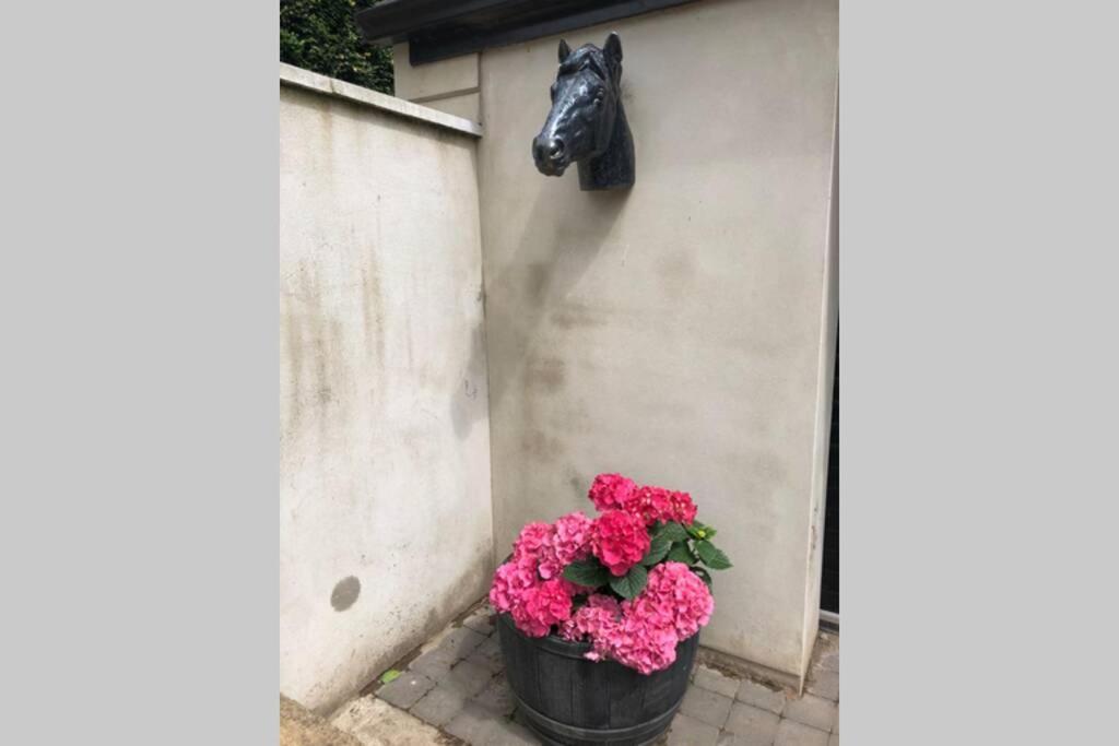 Rhubarb Cottage Enniskillen Ngoại thất bức ảnh
