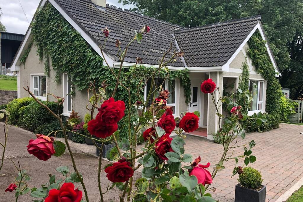 Rhubarb Cottage Enniskillen Ngoại thất bức ảnh
